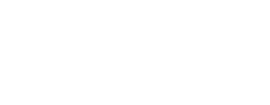 otis-300-117-white
